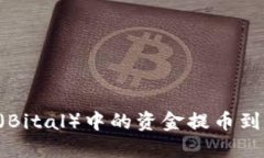 如何将比特尔（Bital）中的