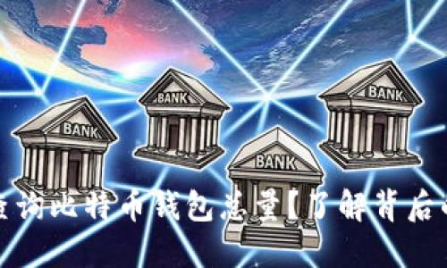 如何快速查询比特币钱包总量？了解背后的具体成果