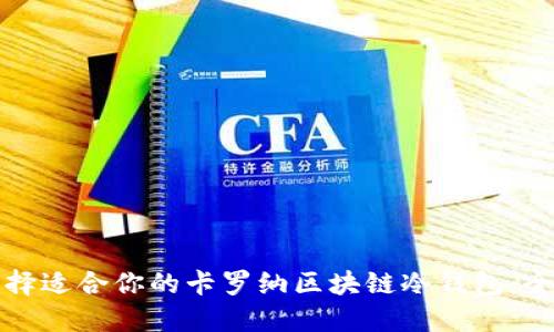 如何选择适合你的卡罗纳区块链冷钱包：全面指南