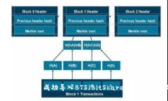 如何在imToken钱包中成功导