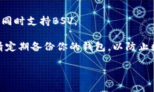 当前版本的imToken钱包并不支持BSV（Bitcoin SV）存储。imToken最初主要支持以太坊及其代币（ERC-20），以及比特币（BTC），但BSV并非其支持的主流资产之一。

如果你有BSV需要存储，建议你选择其他支持BSV的数字货币钱包。以下是一些常见的支持BSV的数字钱包：

1. **Electron Cash**：这是一款专为比特币现金（BCH）和比特币SV（BSV）设计的钱包，具有简单易用的界面。

2. **Coinomi**：这是一个多币种钱包，支持包括BSV在内的多种加密货币。

3. **Exodus**：Exodus是一个用户友好的多币种钱包，支持BSV及其他数百种代币。

4. **Trezor和Ledger**：这些是硬件钱包，为你提供更高的安全性，同时支持BSV。

在使用任何钱包时，确保你了解其安全特性和私钥管理方式。同时，请定期备份你的钱包，以防止数字资产的丢失。

如果你还有其他问题或需要进一步的信息，请告诉我！