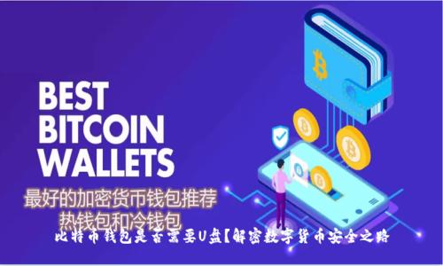 比特币钱包是否需要U盘？解密数字货币安全之路